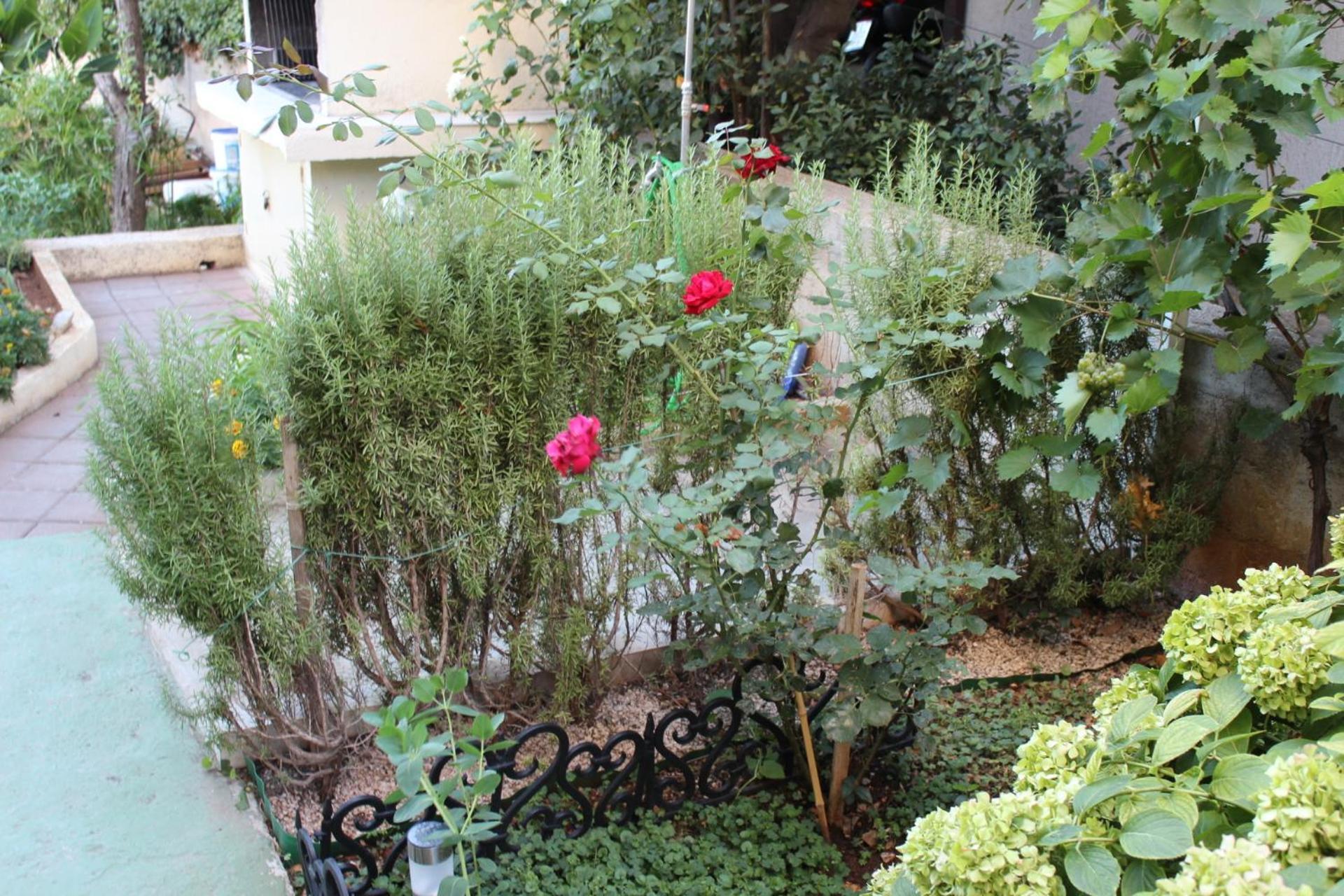 Apartments Miriam Srima Водице Экстерьер фото